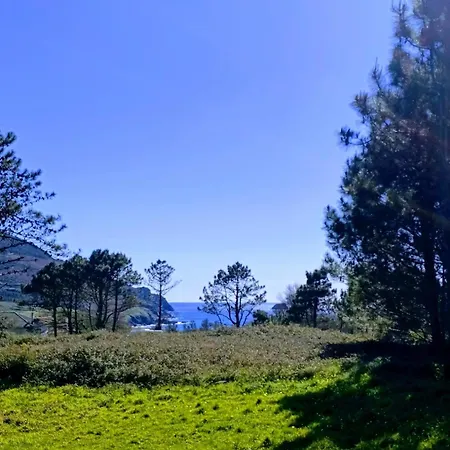Cruz De Baixar アパート